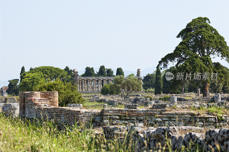 罗马神庙- Paestum